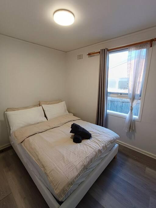 Phillip Lovely And Quiet House Near Westfield Cbr Hospital 빌라 외부 사진